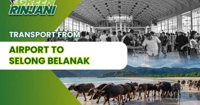 Airport to Selong Belanak