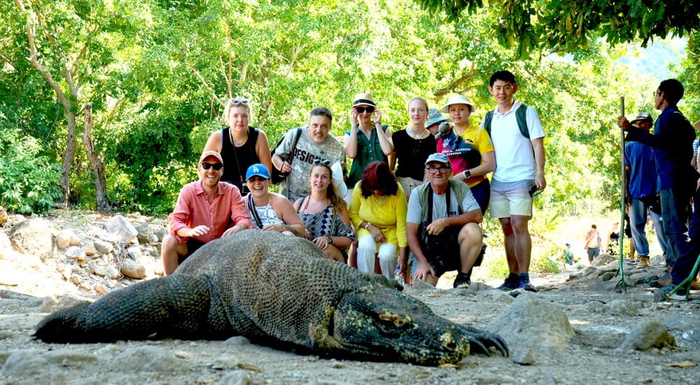 See the Komodo Dragon in their habitat - Komodo island