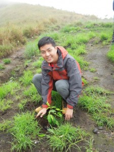 Plant a trees for future   
